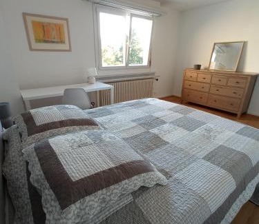 Colmar Centre Ville Apartamento | Rare à Colmar - Appartement Champ de Mars vue sur Parc - 70m2 - 2 chambres