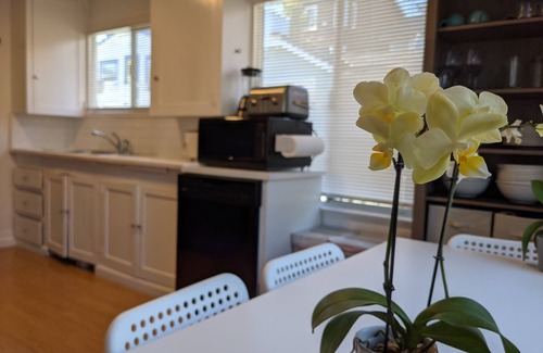 Capitola Casa | Rare 3 br in Capitola Village with 5pm checkout Jan-Apr+Parking!