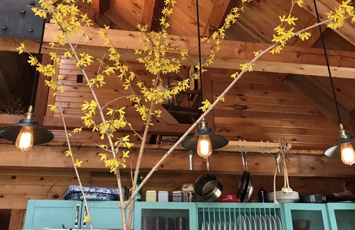 Baptistown Cabina | Rare private cabin retreat surrounded by 1700 acres of woods, yet close to town.