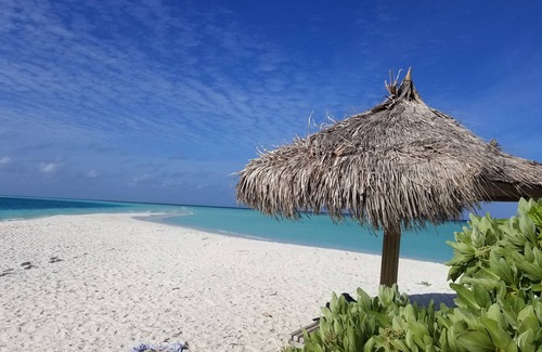 Rasdhoo Casa | Rasdhoo Lilac Stay (estancia tranquila y pacífica)