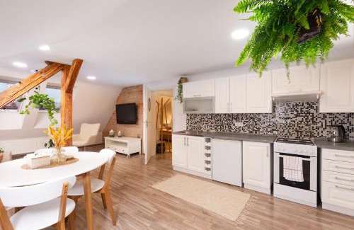 Jihlava Apartamento | RASL Residens