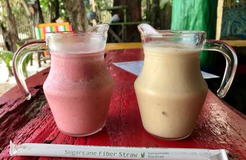 Ranong Casa | Rasta Baby Bar & Bungalows - Suitable for young travelers