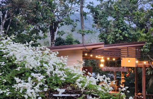 Hat Yai Casa | Rat Min House