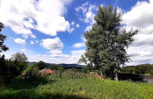 Bruchweiler-Baerenbach Casa | Rausblick Cabin