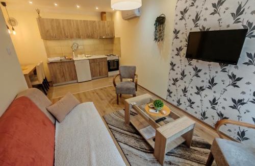 Ivanjica Apartamento | Ravana Sky Apartments