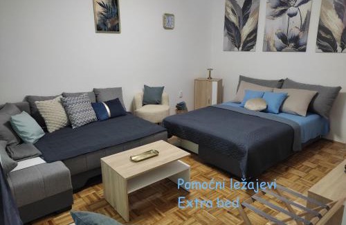 Palic Apartamento | Ravena 2