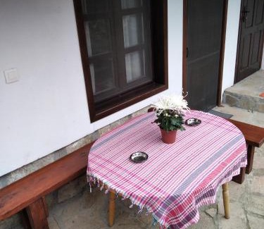 Elena Casa | Razsukanova house , Разсукановата къща