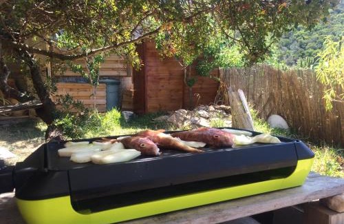 Ile du Levant Casa | RC d'un Cabanon écologique ile du levant Naturiste