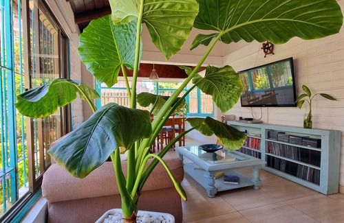 Renaca Casa | Reñaca House B&B