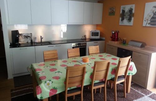 Realp Apartamento | Realp-Andermatt 3,5 locali giardino privato In mezzo la natura, spettacolare per appassionati montanbike, pesca ecc In inverno fai sci di fondo dal giardino e con il treno davanti a casa si raggiunge in 5min il comprensorio scistico di Andermatt