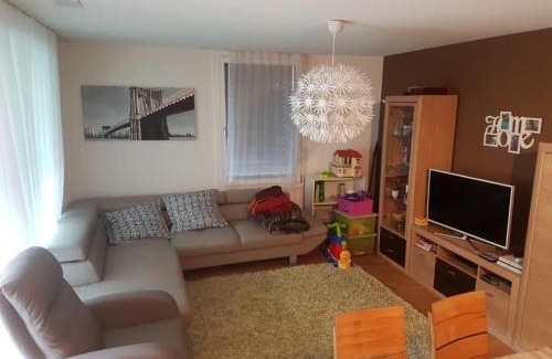 Realp Apartamento | Realp-Andermatt 3,5 locali giardino privato In mezzo la natura, spettacolare per appassionati montanbike, pesca ecc In inverno fai sci di fondo dal giardino e con il treno davanti a casa si raggiunge in 5min il comprensorio scistico di Andermatt