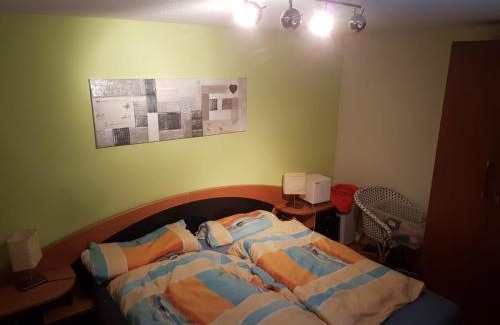 Realp Apartamento | Realp-Andermatt 3,5 locali giardino privato In mezzo la natura, spettacolare per appassionati montanbike, pesca ecc In inverno fai sci di fondo dal giardino e con il treno davanti a casa si raggiunge in 5min il comprensorio scistico di Andermatt