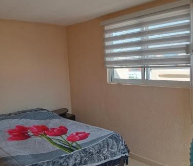 Ixtapalapa Apartamento | Recámara céntrica funcional