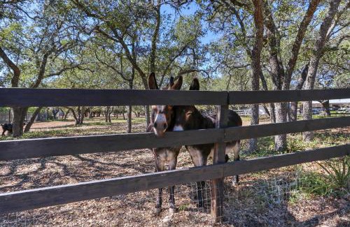 Woodcreek Casa | Red Donkey Cottage