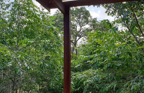 Mount Hope Apartamento | Red Parrot - nueva casa famosa dentro de la naturaleza
