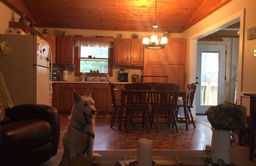 Lake Cabaña | Hilltop Cottage con vistas al lago W / Bunkhouse extra y mascotas!