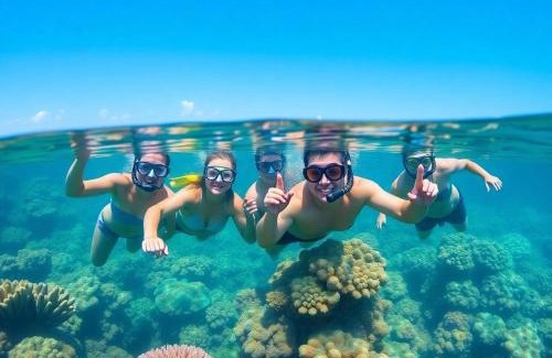 Sharm El Sheikh Alquiler De Eote | red sea excursion
