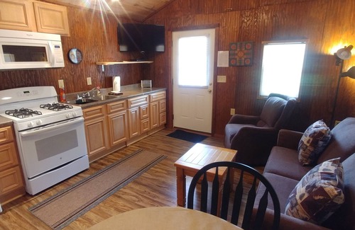 Dandridge Cabina | Red Top Cabin a poca distancia del lago Douglas