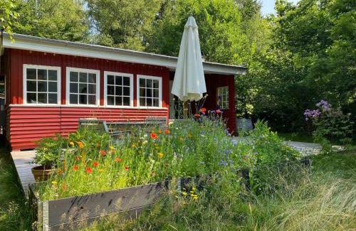 Ramlose Casa | Red Wood House Within Frederiksværk's Nature