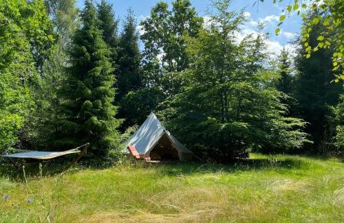 Ramlose Casa | Red Wood House Within Frederiksværk's Nature