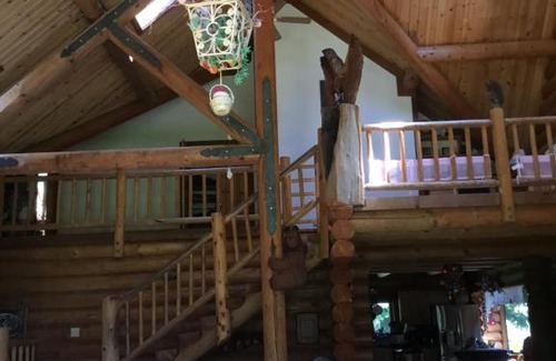 Crescent City Casa | Redwood forest