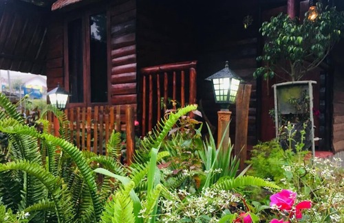 Nuwara Eliya Cabaña | La cabaña REDWOOD HOLLOW es la estadía ecológica de tus sueños