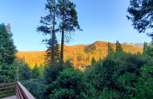 Camp Nelson Cabina | Redwood Retreat, Mountains, Adventure and Nature
