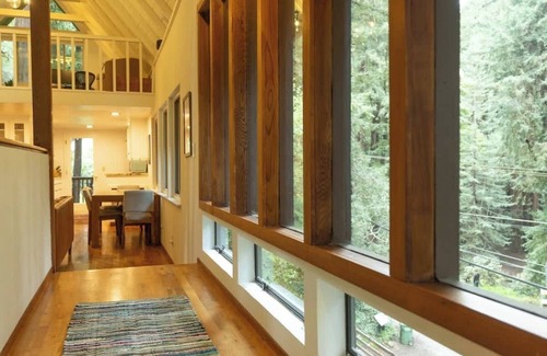 Mill Valley Casa | Redwood Treehouse Retreat Near Muir Woods w/ Deck