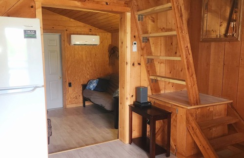 Coalmont Cabina | Reel Simple LAKEFRONT Cabin Close to Hiking Trails, The Caverns and OHV Park!