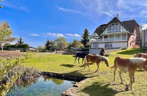 Boppard Apartamento | Reet am Rhein - Obere Hälfte