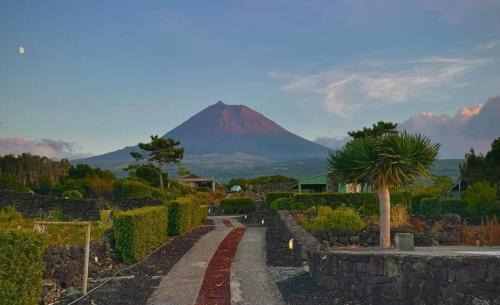 Sao Roque do Pico Apartamento | Refúgio da Montanha