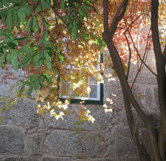 Covilha Casa | Refúgio de Calheiros