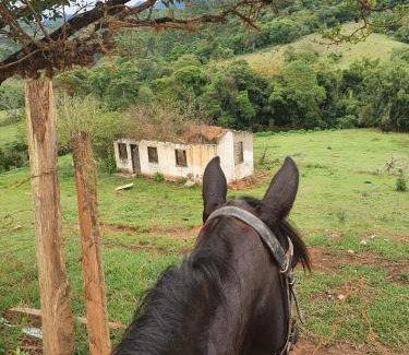 Santo Antonio do Pinhal Cabina | Refúgio Horse