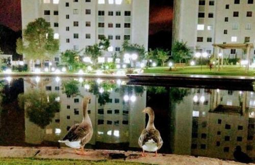 Pinheirinho Apartamento | Refúgio Moderno em Condomínio Clube, Conforto e Lazer Completo no Coração da Cidade