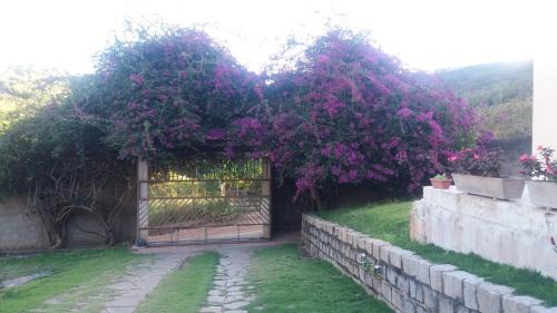 Bananeiras Casa | Refúgio na Serra
