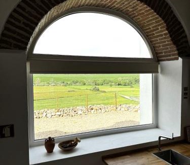 Mora Casa | Refúgio sobre a paisagem alentejana