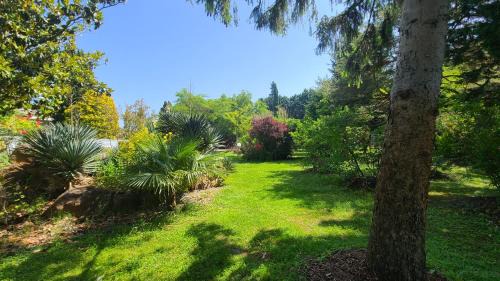 Le Thor Casa | Reflet De PROVENCE
