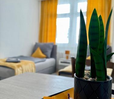 Magdeburg Casa | Reform