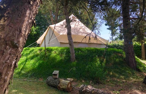 Chaix Cabina | VENDEE DE BIVOUAC (4 estaciones climatizadas) "les pins" -sauna