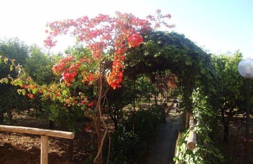 Sant'Andrea Bonagia Villa | refugio del gallo en el verde cerca del mar