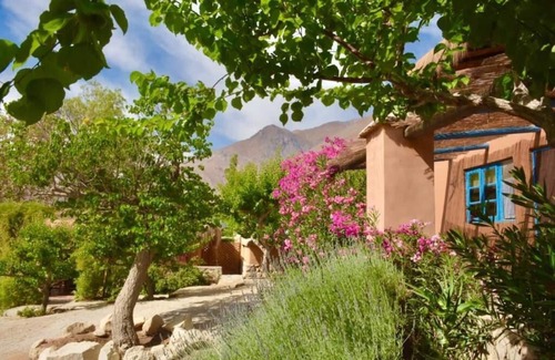 Pisco Elqui Cabina | Refugio Misterios del Elqui