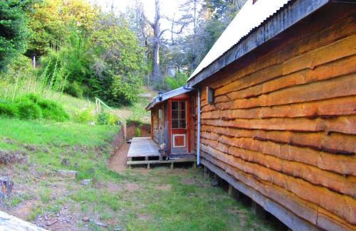 Curacautin Casa | Refugio Montaña Kultrun Mawida, Mini-Cabaña con baño y cocina privada