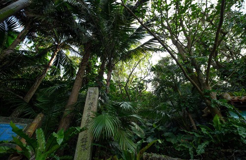 Ishigaki Casa | Regina Ishigaki Ocean Yonehara