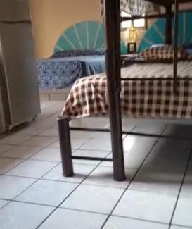 Rincon de Guayabitos Hotel | Regina