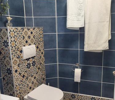 Jagodina Apartamento | Regina S