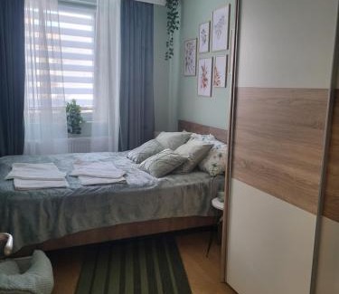 Jagodina Apartamento | Regina S