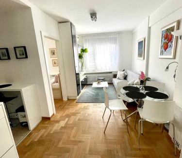 Vracar Apartamento | Regina Vracar apartment and garage