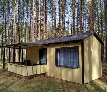 Jabara Casa | Reinholdi metsamaja