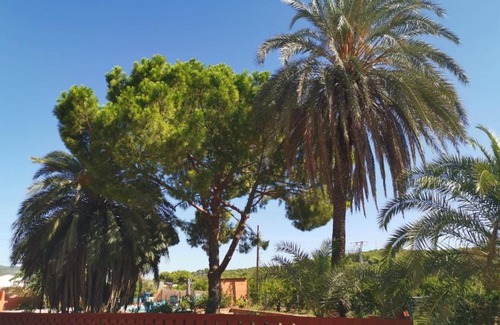 Sagunto Cama Y Desayuno | Relais Pollo Loco