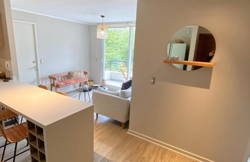 Pucon Apartamento | Relajo y comodidad en Pucon
